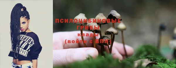 трава Дмитровск