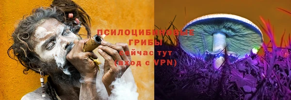 трава Дмитровск