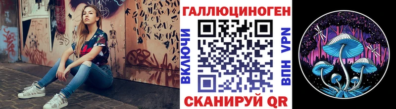 Галлюциногенные грибы Cubensis Саяногорск